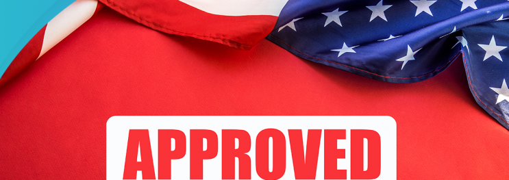 us visa application process