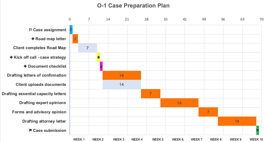 o-1 case preparation plan