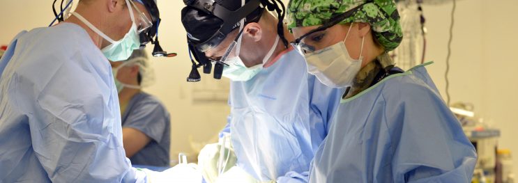 immigration doctors