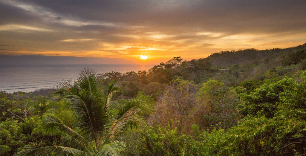 Santa Teresa