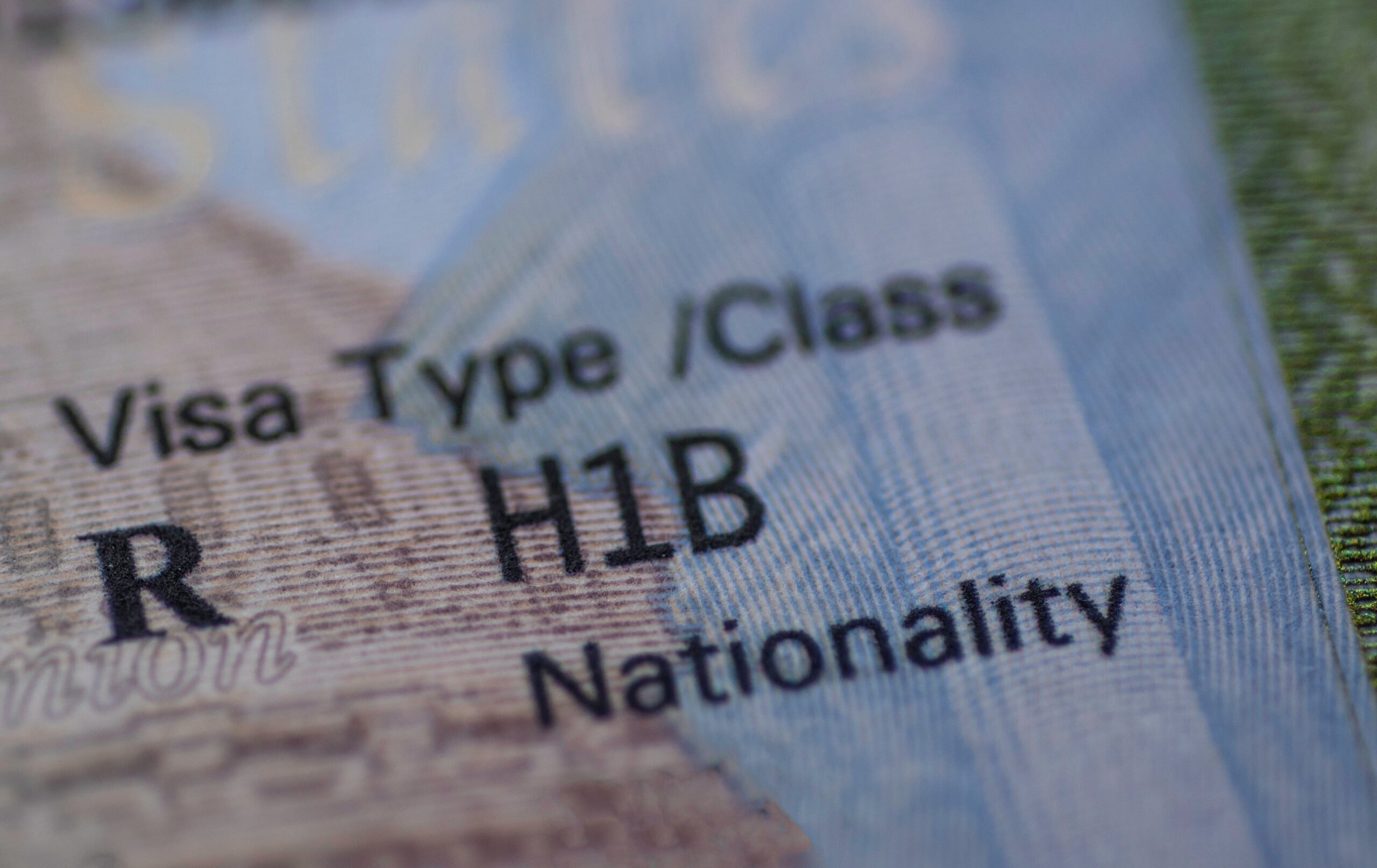 What are your options if not selected in the H-1B Lottery in 2022?